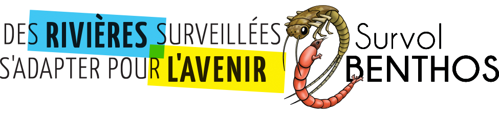 Logo projet